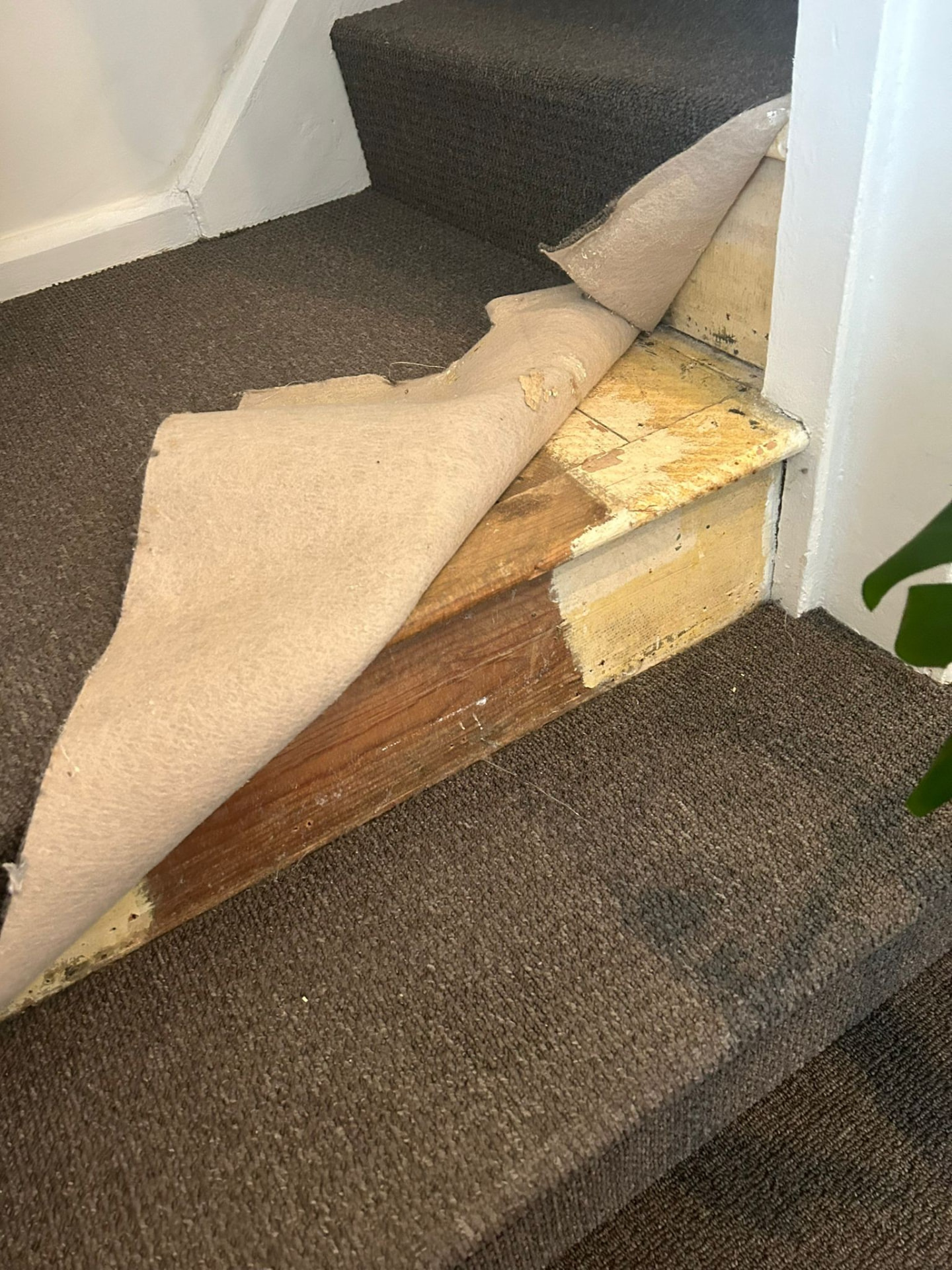 Flooring installation before work started by VTR Developments, Nottingham builders – photo 1