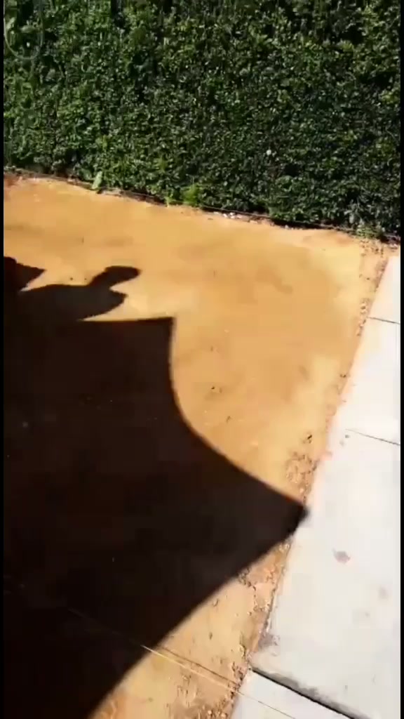 Patio transformation