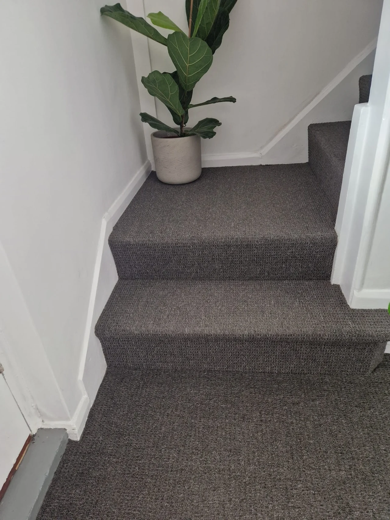 Grey carpet fitted on a staircase with white walls