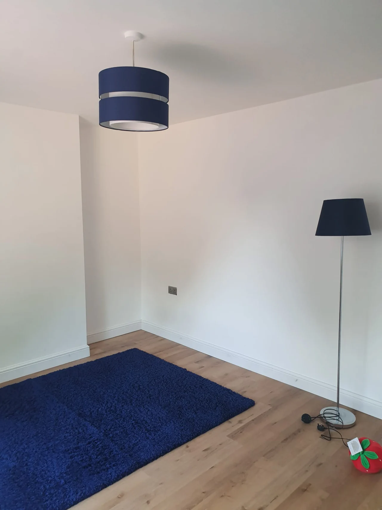 White-painted room with timber flooring, a blue rug and matching lampshades